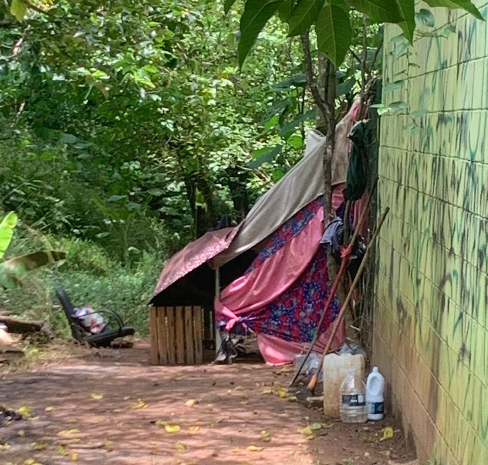 AVVS inicia projeto de acolhimento